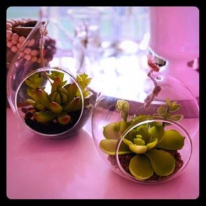 Ⓗⓐⓝⓖⓘⓝⓖ Ⓑⓤⓑⓑⓛⓔ Ⓢⓤⓒⓒⓤⓛⓔⓝⓣ Ⓖⓐⓡⓓⓔⓝ